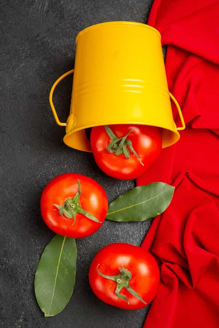 تصویر 3 از خرید و قیمت رب گوجه فرنگی + فروش عمده